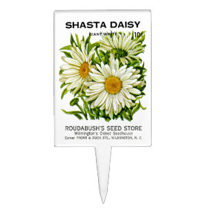 Shasta Daisy Vintage Seed Packet Cake Topper