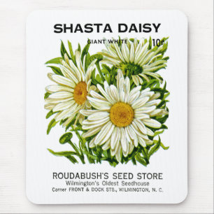 Shasta Daisy Vintage Seed Packet Mouse Pad