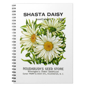 Shasta Daisy Vintage Seed Packet Notebook