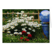 Shasta Garden - Daisies (Front Horizontal)