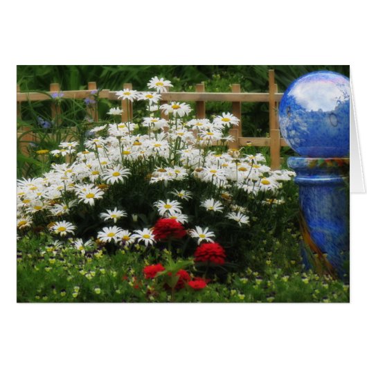 Shasta Garden - Daisies Cards (Front Horizontal)