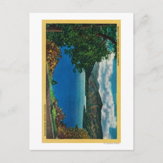 Shasta Lake ViewShasta, CA Postcard (Front)