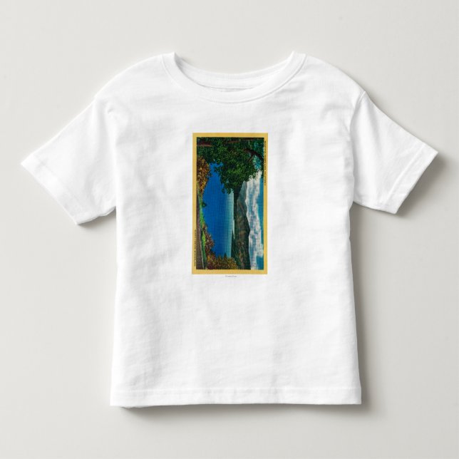 Shasta Lake ViewShasta, CA Toddler T-shirt (Front)