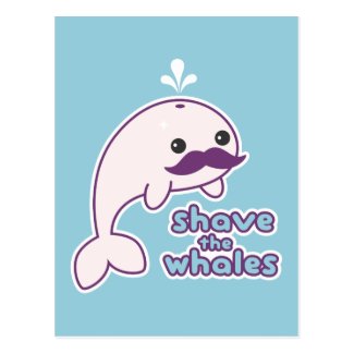 Shave the Whales Postcard
