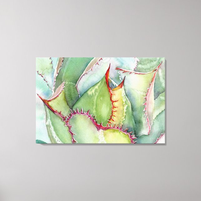 Shaw's Agave Canvas Print (Front)