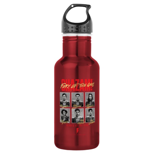SHAZAM! Fury of the Gods | SHAZAMily Yearbook Stainless Steel Water Bottle (Front)