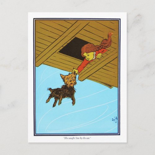 She Caught Toto By The Ear Postcard