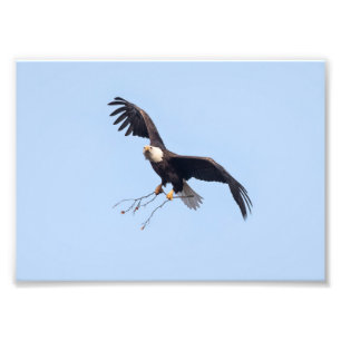 She Has A Stick Photo Print
