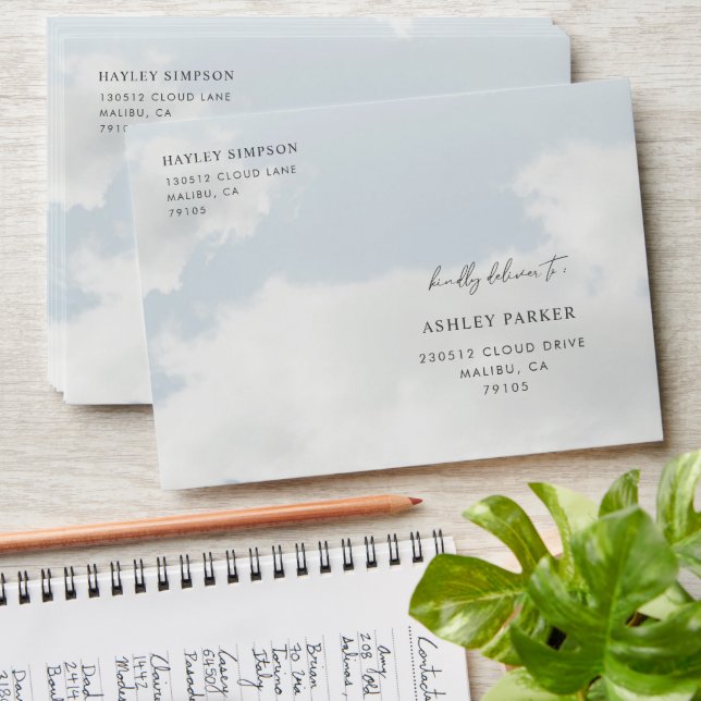 She Is On Cloud Nine Theme Party Address Envelope (Stacked)