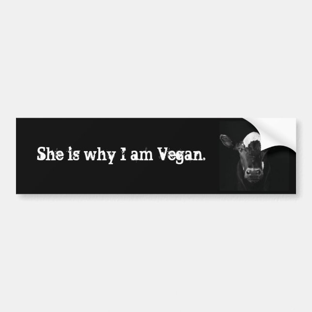 She is why I am Vegan Bumper Sticker (Front)