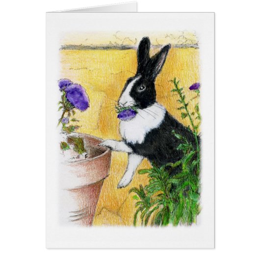 SHE LOVES ME (Front)