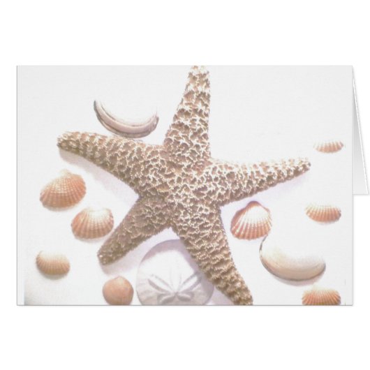 She sells sea shells cards (Front Horizontal)