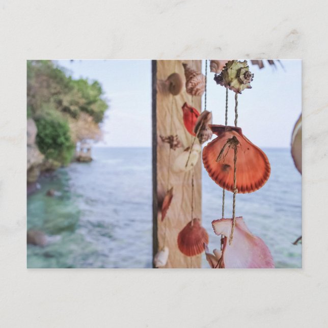 She Sells Sea Shells Postcard (Front)