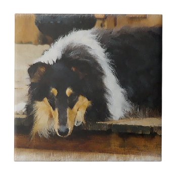 She Waits Tri Color Collie Tile by DogsByDezign at Zazzle