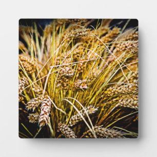 Sheaf Of Wheat - Thank You Plaque