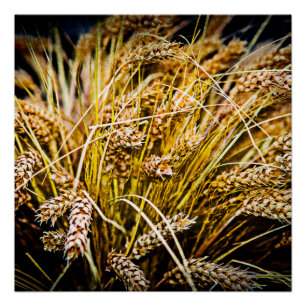 Sheaf Of Wheat - Thank You Poster