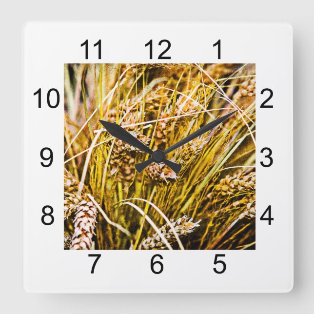 Sheaf Of Wheat - Thank You Square Wall Clock (Front)