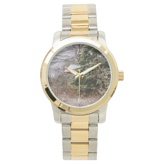 Shed Abandoned Watch (Front)