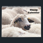 Sheep 2026 calendar<br><div class="desc">This 2026 wall calendar feature is sheep photography.</div>