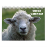 Sheep 2026 calendar