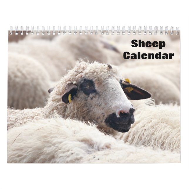 Sheep 2027 calendar (Cover)