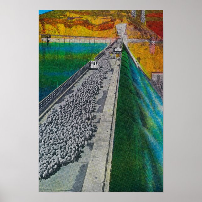 Sheep across Grand Coulee Dam Poster (Front)
