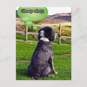 Sheep Ahoy Postcard by PawsForaMoment at Zazzle