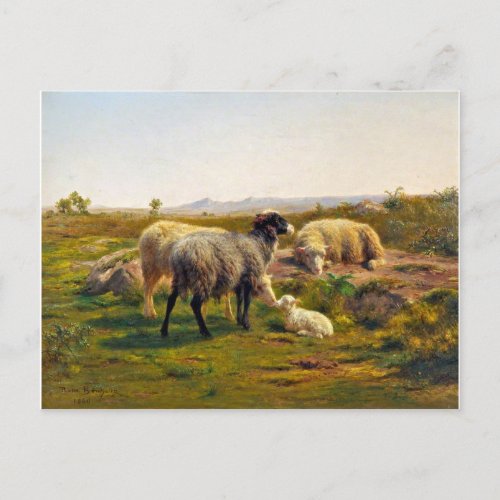 Sheep and a Lamb by Rosa Bonheur Postcard