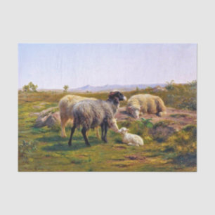 Sheep and a Lamb in Nature (by Rosa Bonheur) Tissue Paper