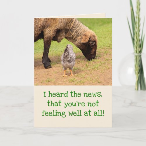 Sheep And Chicken Get Well Card