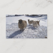 Sheep and Goats in April Snow Business Card (Back)