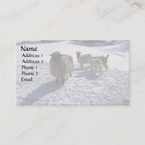 Customizable Sheep and Goats in April Snow Business Cards