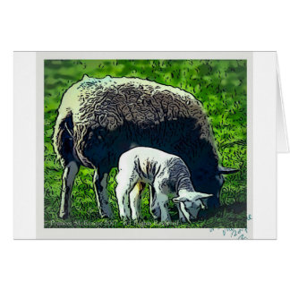 Sheep and lamb cartoon cards