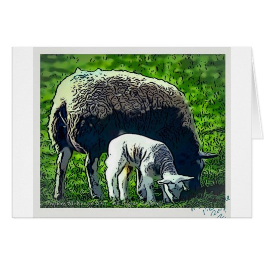 Sheep and lamb cartoon cards (Front Horizontal)