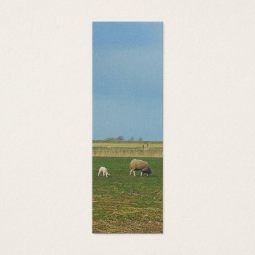 Sheep and Lamb Landscape Photo Bookmark Gift Business Card