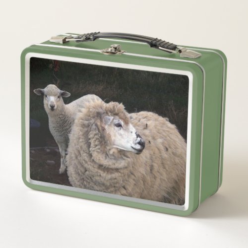 Sheep and Lamb Metal Lunch Box