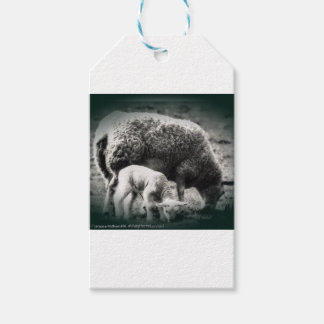 Sheep and lamb mono picture gift tags