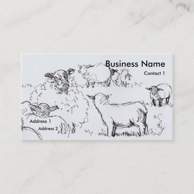 Sheep and Lambs Drawing Business Cards (Front)