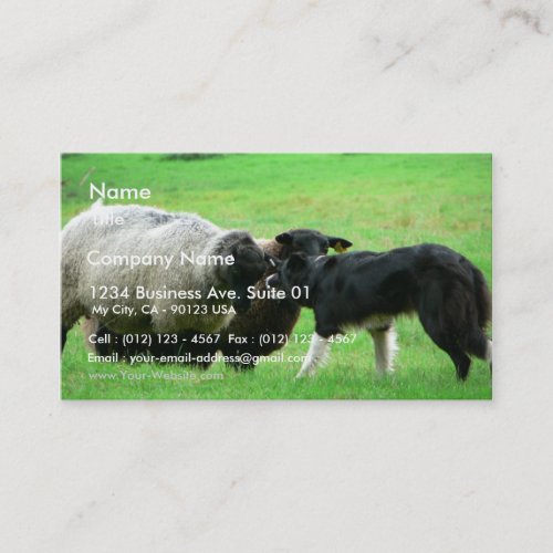 Sheep And Sheep Dog On Field Business Card