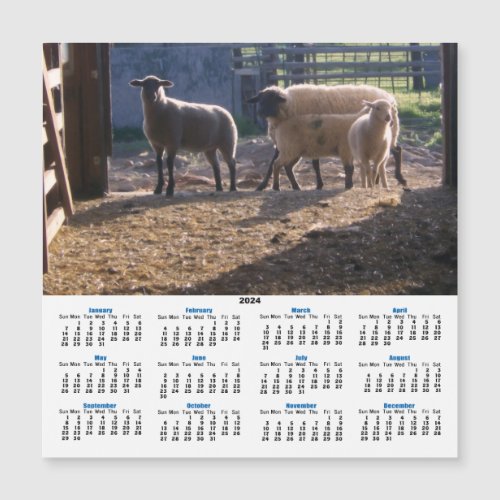 Sheep and Sunshine at the Barn 2024 Calendar Card