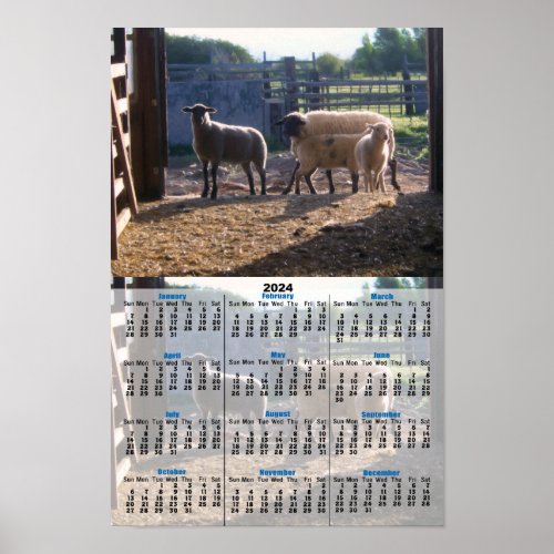 Sheep and Sunshine at the Barn 2024 Calendar Poster