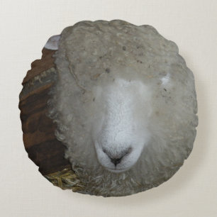 Sheep at the county fair round pillow