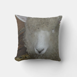 Sheep at the county fair throw pillow