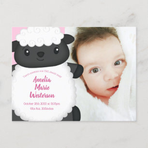 Sheep Baby Shower Farm Pink Girl Postcard