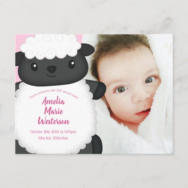 Sheep Baby Shower Farm Pink Girl Postcard (Front)