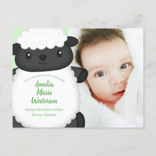Sheep Baby Shower Farm Postcard