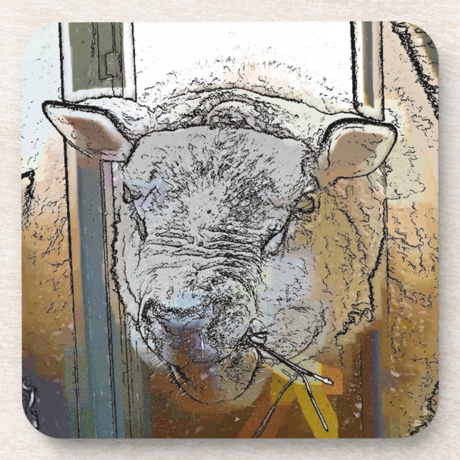 SHEEP BEVERAGE COASTER (Front)
