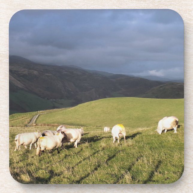SHEEP BEVERAGE COASTER (Front)