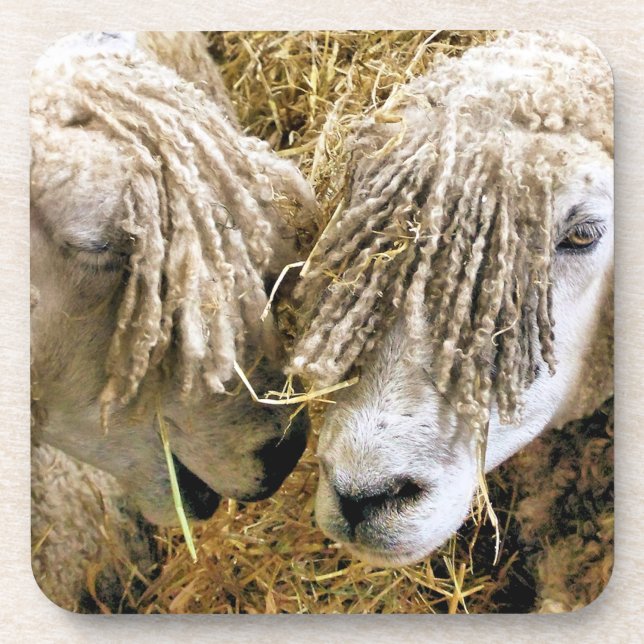 SHEEP BEVERAGE COASTER (Front)