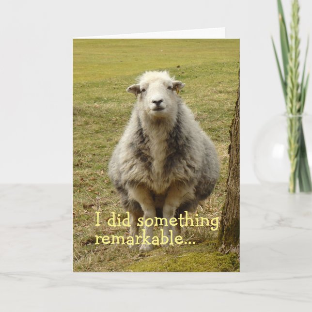 Sheep Birthday Card (Front)